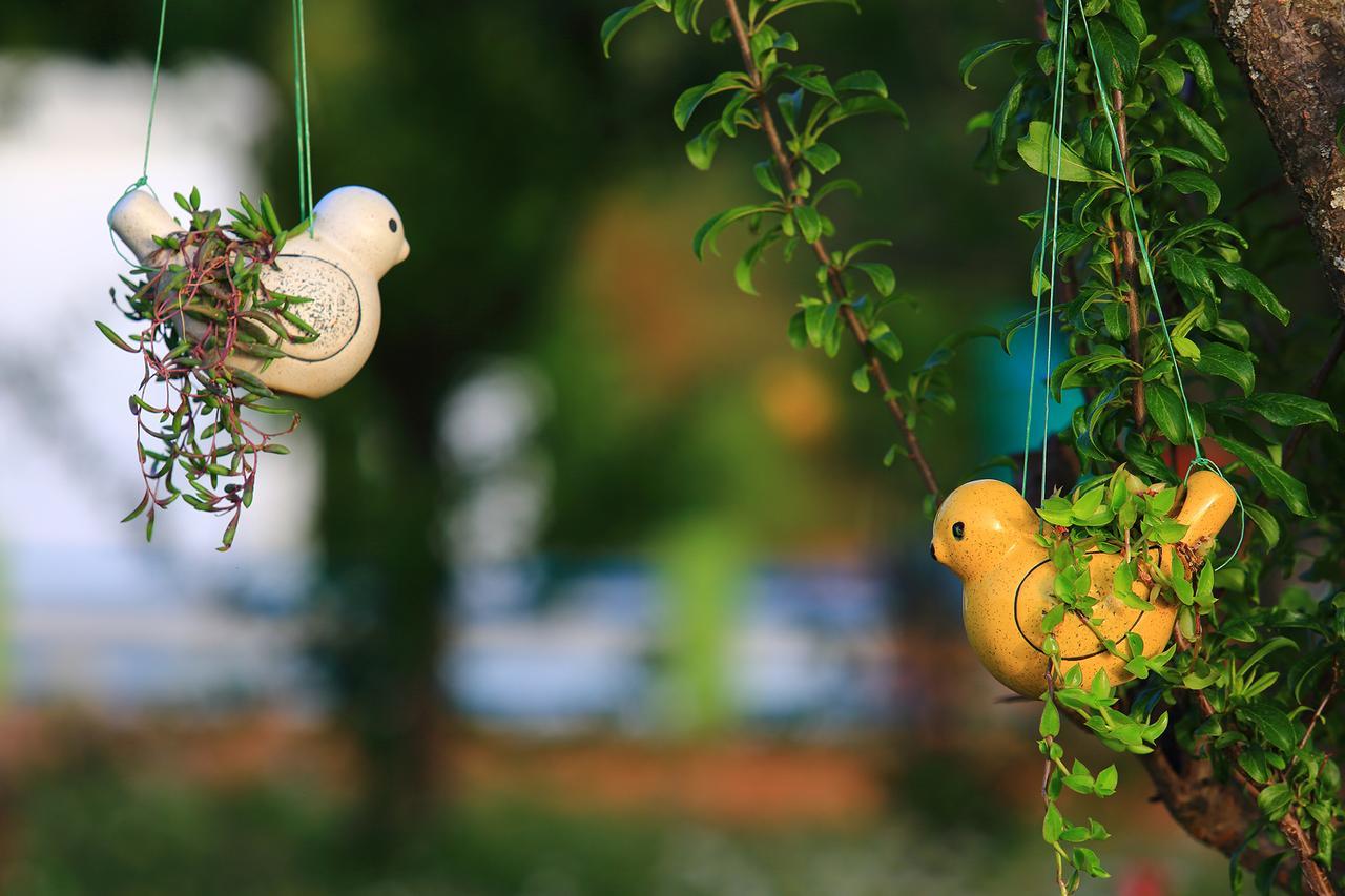 Bed and Breakfast Chirping Orchard, Mukteshwar Exteriér fotografie